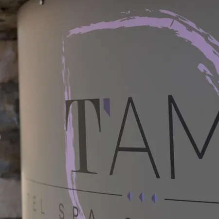 T'ami 3*